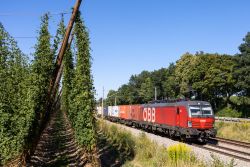 Österreich E-Lok Siemens Vectron Reihe 1293 der ÖBB mit Güterzug zwischen München und Ingolstadt bei Rohrbach (Ilm) mit Hopfenfeld