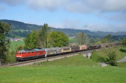 Diesellok der Baureihe 232 (Ludmilla) auf der Allgäubahn mit Güterzug zwischen Günzach und Kempten im Allgäu