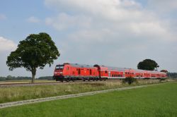 Bombardier Traxx DE Diesellok der Baureihe 245 mit Doppelstockwagen als RE München - Memmingen mit einzeln stehendem Baum bei Rammingen