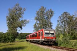 Dieseltriebwagen Baureihe 628 Deutsche Bahn DB auf dem Filzenexpress Grafing - Wasserburg mit Baumreihe aus Birken bei Ebersberg