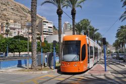 Straßenbahn Alicante unter Palmen