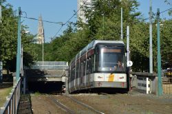 Straßenbahn Antwerpen Hermelijn Tram auf der Tunnelrampe Halewijn zum Scheldetunnel