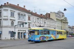 Tram Arad Rumänien Straßenbahn Düwag GT6 Innsbruck in der Altstadt bei der Station Primărie