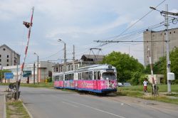 Tram Arad Rumänien Straßenbahn Düwag GT8 aus Essen mit beschranktem Bahnübergang