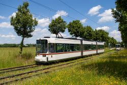 Straßenbahn Augsburg ADtranz AEG GT6M auf Rasengleis als Linie 3 hinter der Universität