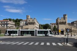 Straßenbahn Citadis Compact Tram Avignon auf Rasengleis mit Stadtmauer und Türmen