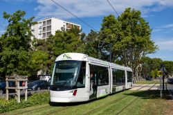 Straßenbahn Citadis Compact Tram Avignon auf Rasengleis im Grünen