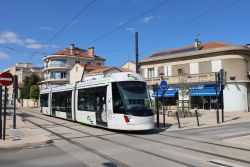 Alstom Citadis Compact Tram Avignon am Place Saint-Ruf