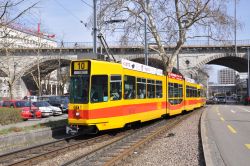Straßenbahn Be 4/8 Tram Basel der BLT Baselland Transport am Zoo mit Viadukt im Hintergrund