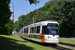 Stadtbahn Bielefeld HeiterBlick Vamos auf Rasengleis im Wald nahe der Station Universität