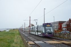 Straßenbahn Blackpool Tram Bombardier Flexity Outlook 2 an der Sandhurst Avenue