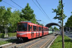 Stadtbahn Bonn U-Bahn SWB zweiterstellter B-Wagen mit Werbung als Linie 63 an der Max-Löbner-Straße