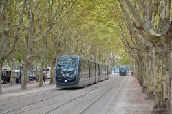 Straßenbahn Citadis Tram Bordeaux Frankreich im APS-System in einer Allee bei der Haltestelle Quinconces