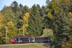 Rittnerbahn Oberbozen Klobenstein Trogenerbahn im Wald zwischen Lichtenstern und Wolfsgruben im Herbst