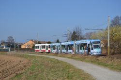Straßenbahn Braunschweig Tram Alstom NGT8D mit Düwag Beiwagen hinter der Haltestelle Geibelstraße