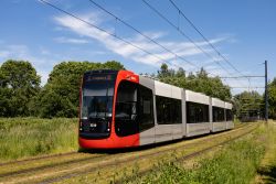 Straßenbahn Bremen Tram Siemens Avenio Nordlicht auf Rasengleis im Park zwischen Riensberg und Universität 