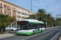 Obus Cagliari Sardinien Trolleybus Solaris Trollino 12 mit Palmen und mediterranen Gebäuden in der Via Roma in Cagliari