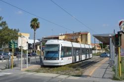 Stadtbahn Cagliari Tram Skoda 06T Elektra mit großer Palme an der Station Caracalla