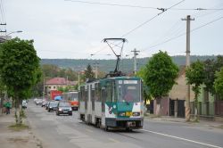 Tram Cluj-Napoca Rumänien Straßenbahn CKD Tatra KT4D aus Potsdam mit Einfamilienhäusern