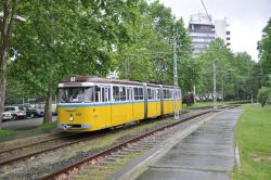 Straßenbahn Debrezin Debrecen Tram Bengali CSM-4 als Linie 1 am Aquaticum