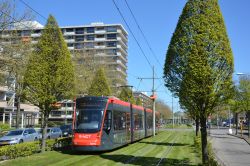 Straßenbahn Den Haag Tram Siemens Avenio R-net auf Rasengleis mit Bäumen vor der Station Prinses Beatrixlaan
