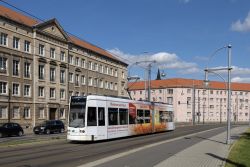 Straßenbahn Dessau Tram Bombardier Flexity Classic in der Innenstadt von Dessau