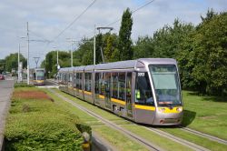 Straßenbahn Dublin Tram Luas Alstom Citadis auf Rasengleis im Park nahe der Station Rialto