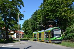 Straßenbahn Elbing Elblag Tram Pesa 121N Tramicus unter Bäumen an der Station Obroncow Pokoju