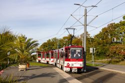 Straßenbahn Erfurt Tram CKD Tatra KT4D mit Palmen an der Station egapark