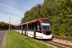 Straßenbahn Erfurt Tram Stadler Tramlink im Grünen auf der Stadtbahnstrecke zum Europaplatz beim Thüringen-Park