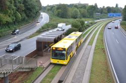 Bus Essen Spurbus Linie 146 inmitten der Autobahn an der Haltestelle Feldhaushof