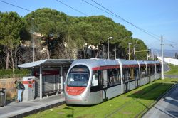 Straßenbahn Florenz Firenze Tram AnsaldoBreda Sirio Hitachi auf Rasengleis an der Station Arcipressi im Grünen