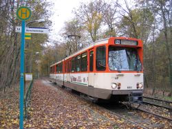 Straßenbahn Frankfurt am Main Tram Pt-Wagen im Stadtwald im Herbst an der Oberschweinstiege