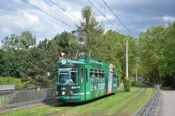 Straßenbahn Freiburg im Breisgau Tram Esslinger GT4 auf Rasengleis im Waldstück am Runzmattenweg