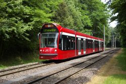 Straßenbahn Freiburg im Breisgau Tram Siemens Combino Advanced im Wald bei der Station Moosgrund