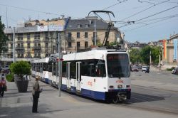 Straßenbahn Genf Geneve Tram Duewag Vevey Be 4/6 am Place de Neuve