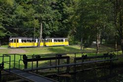 Straßenbahn Bad Schandau Kirnitzschtalbahn Tram Gothawagen mit Wehr