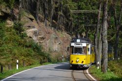 Straßenbahn Bad Schandau Kirnitzschtalbahn Tram Gothawagen im Kirnitzschtal mit Felswand im Wald